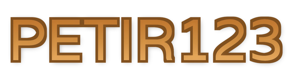 PETIR123